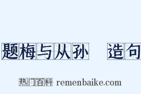 题梅与从孙翙造句是什么意思的图片